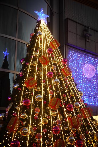 クリスマスツリー