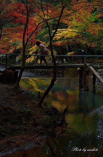 お母さんと散策