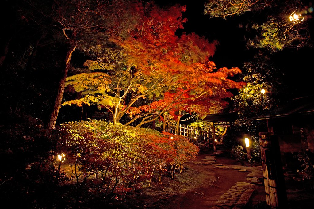 【紅】　密会の宿