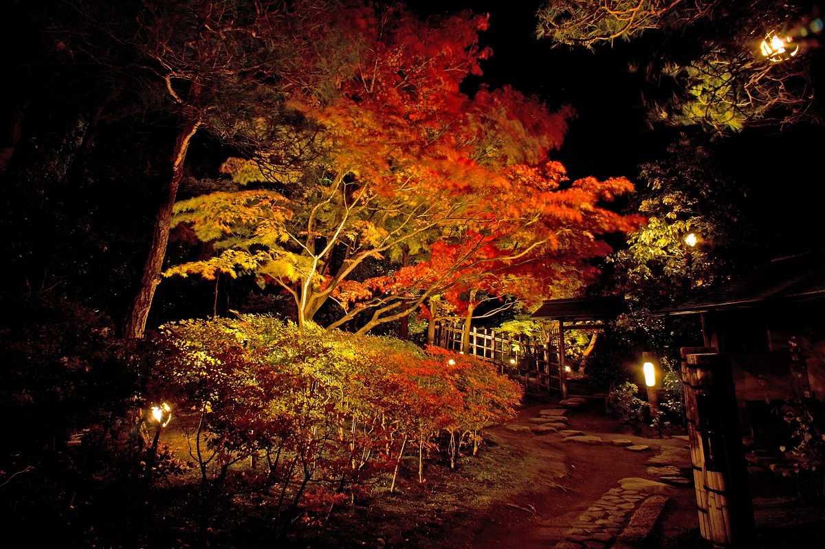 【紅】　密会の宿