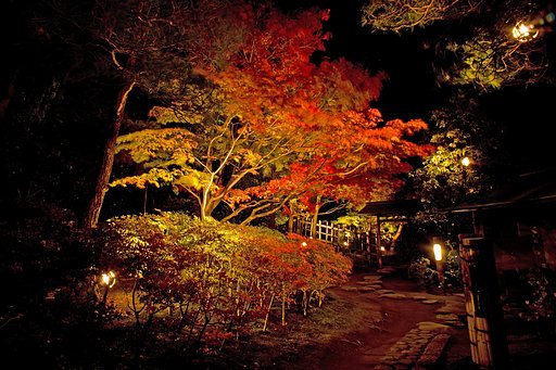 【紅】　密会の宿