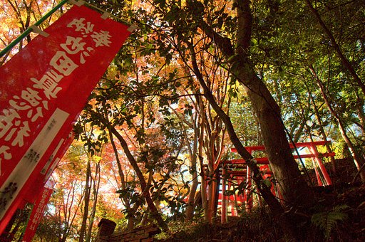 【紅】色に染まりました