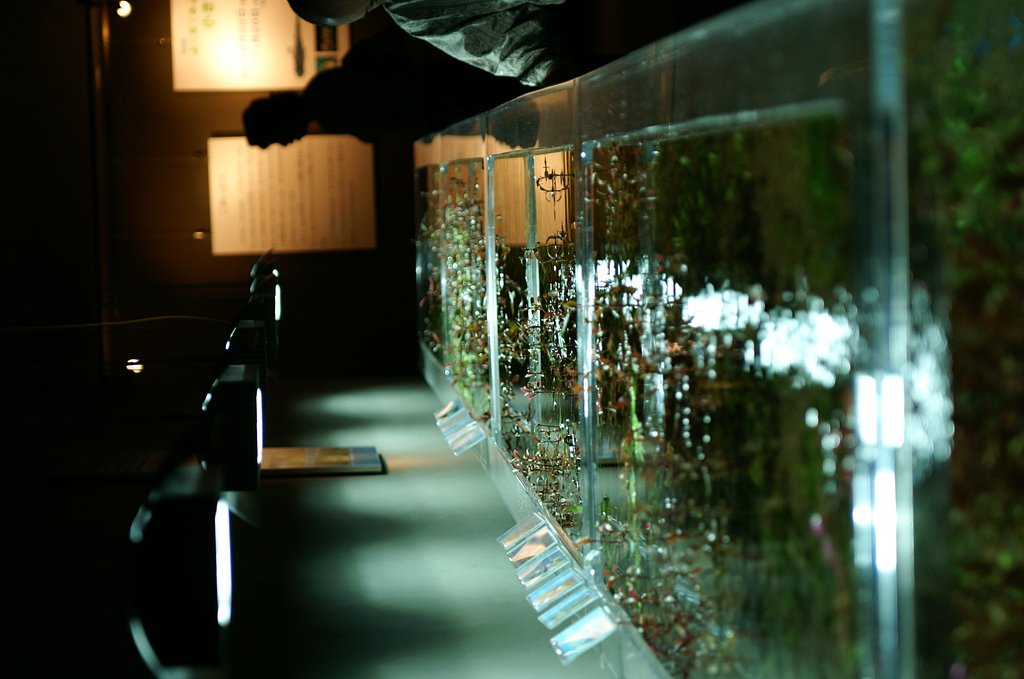 水族館