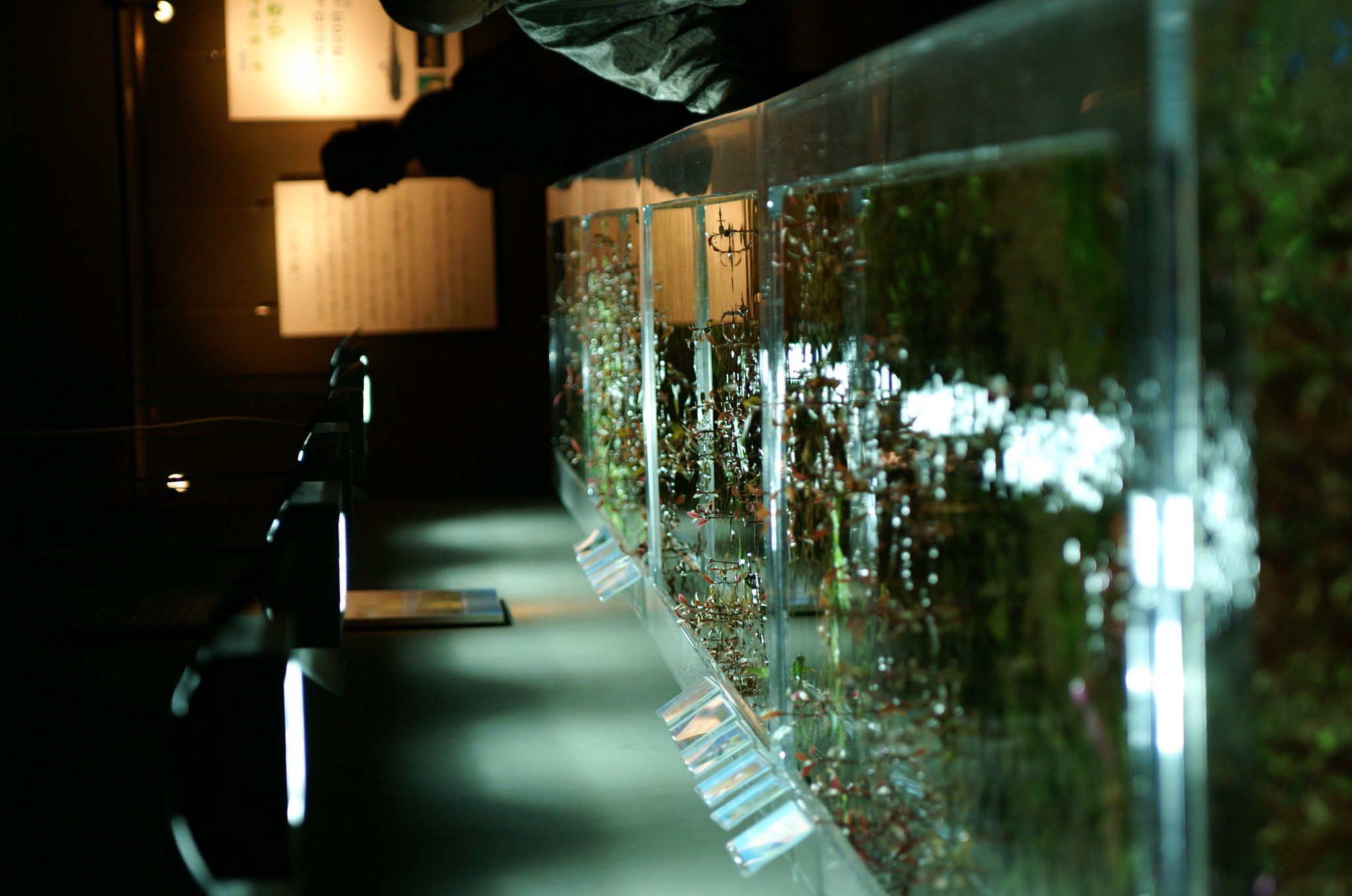 水族館