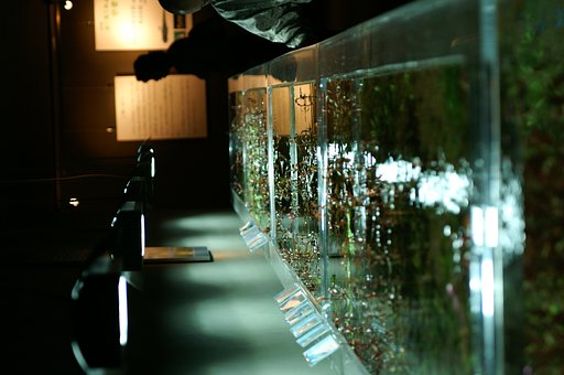 水族館