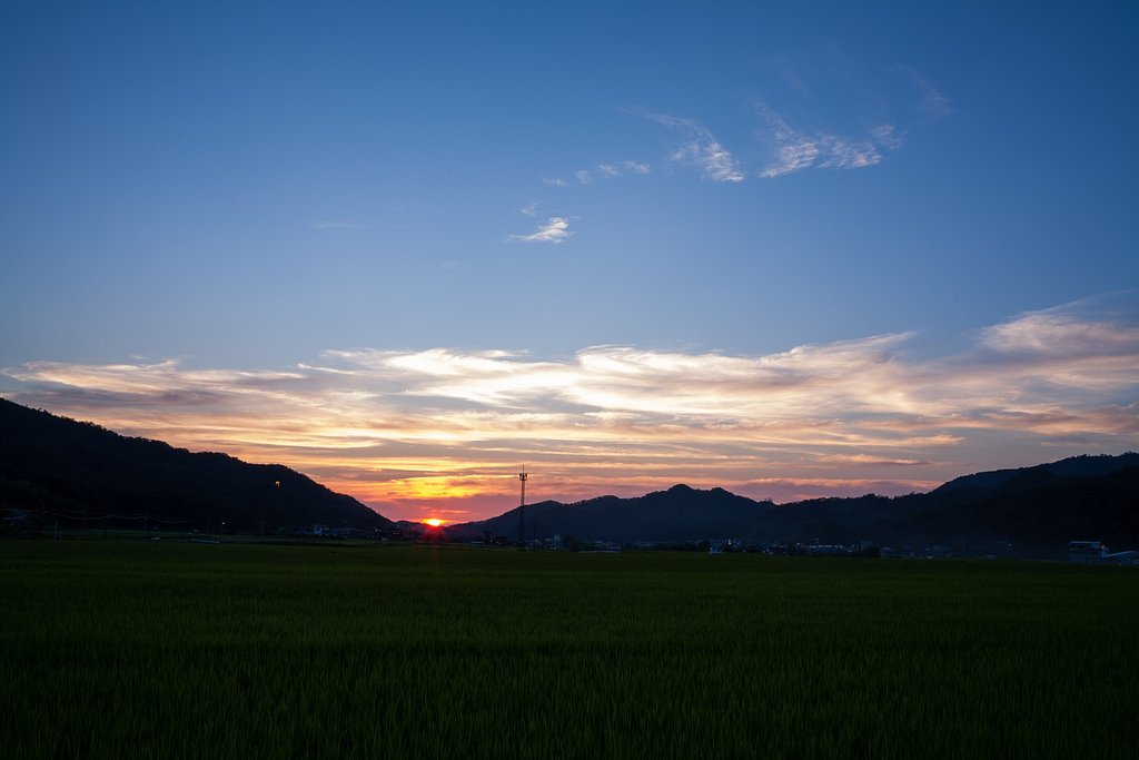 綺麗な夕焼け!