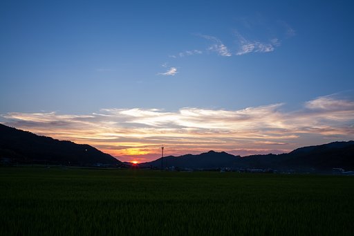 綺麗な夕焼け!