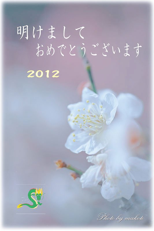 明けましておめでとうございます