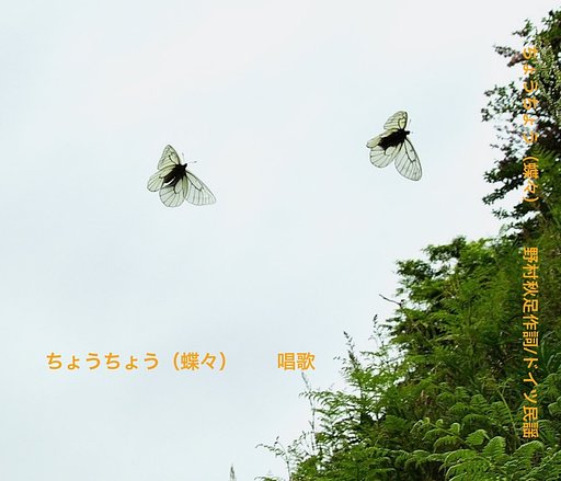 【この一曲】ちょうちょう　唱歌