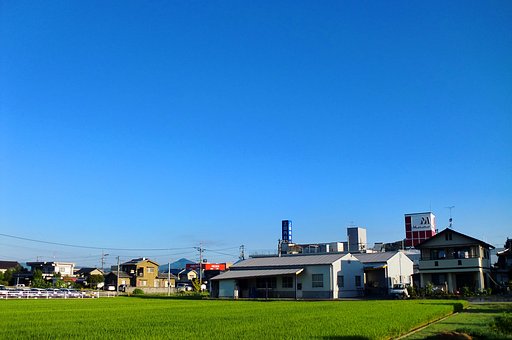 今日も快晴！