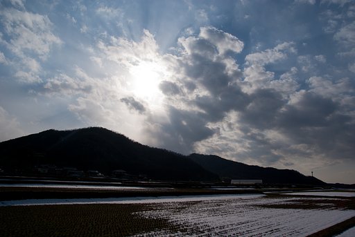 午後は晴れてきました。