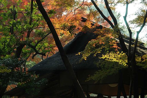 おじいさん、小屋が燃えているワ！