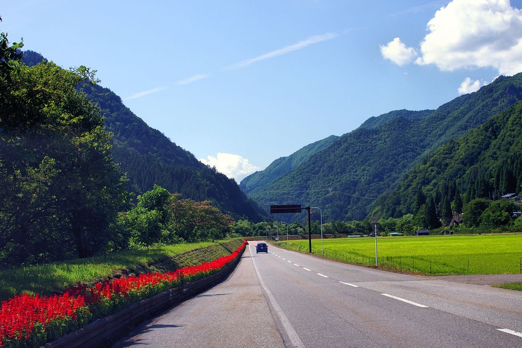 【夏の日】いなか道・盆帰り