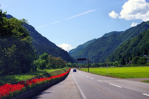 【夏の日】いなか道・盆帰り