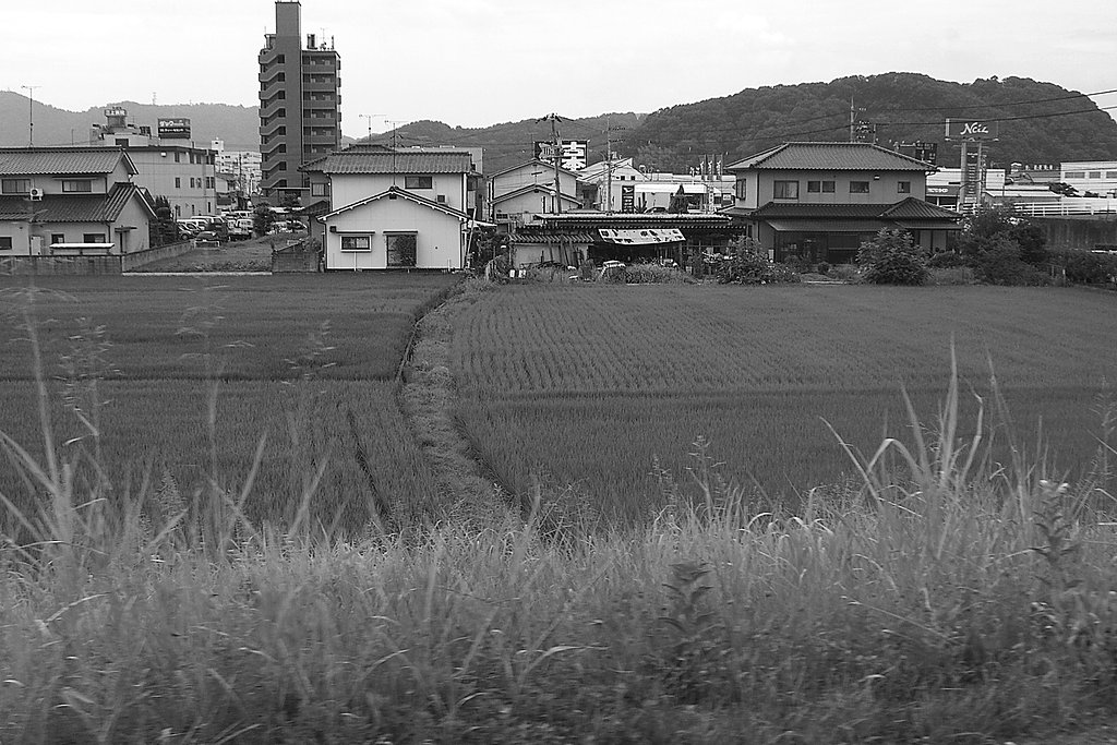畦【道】の運命
