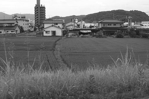 畦【道】の運命