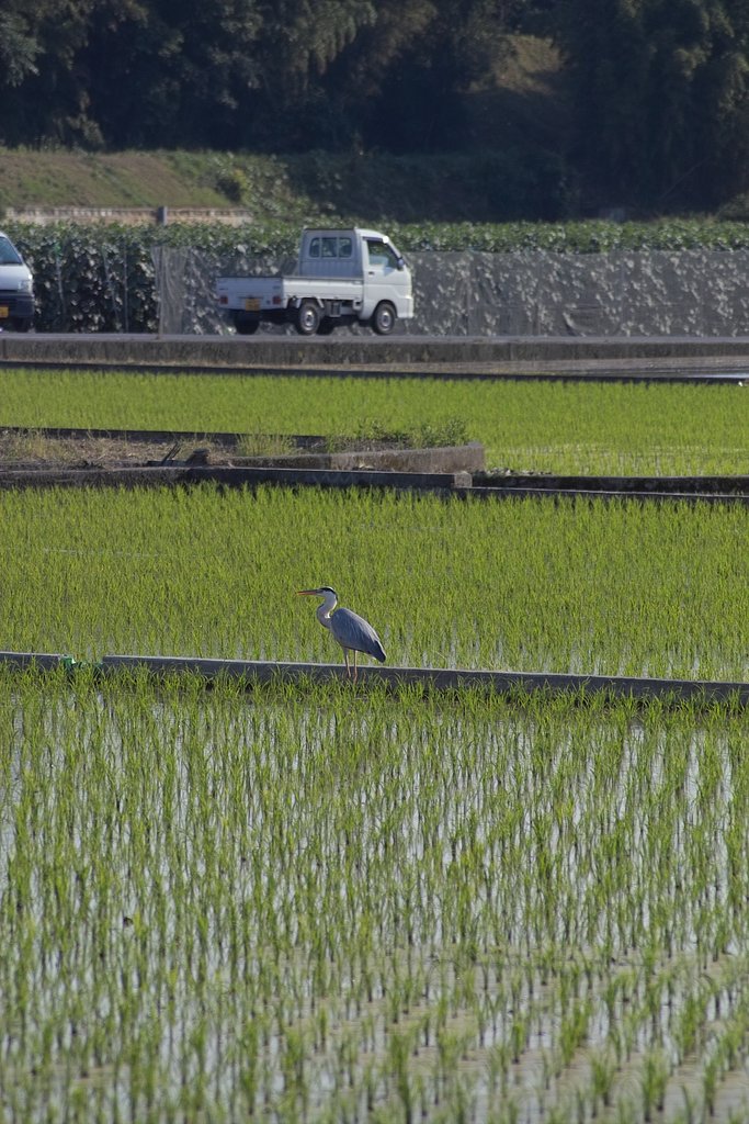 瀬戸の内海　　