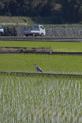 瀬戸の内海　　