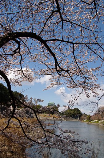 名古屋城東門近くから