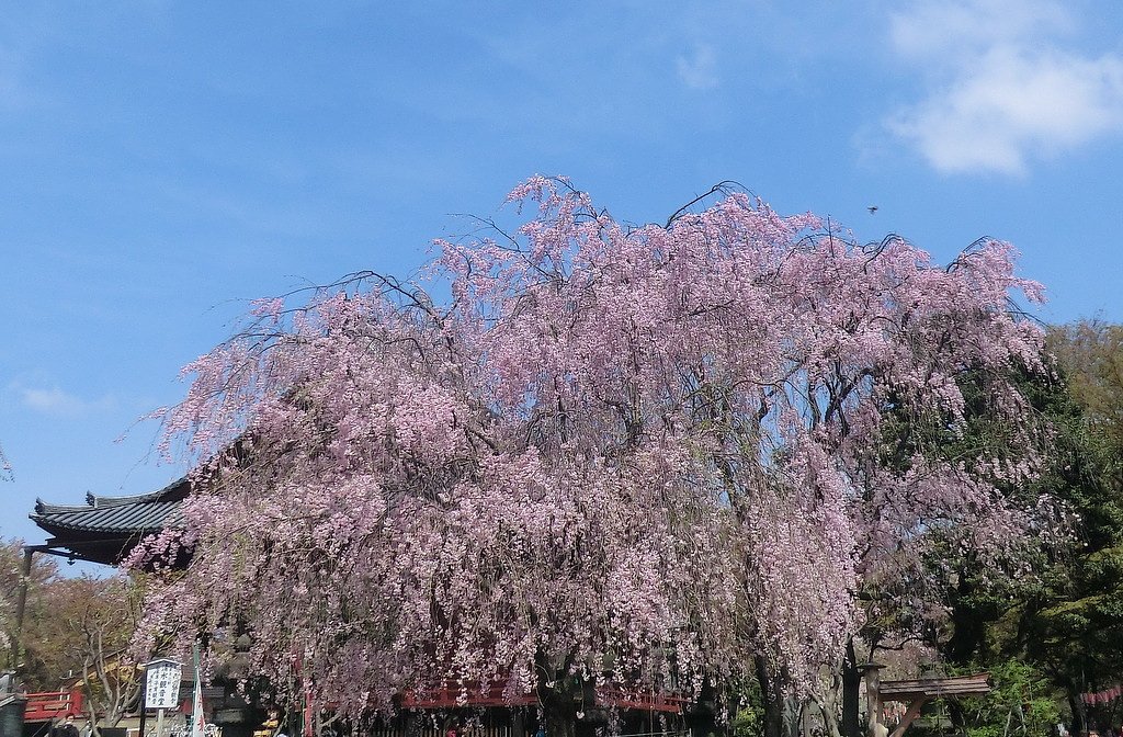 上野公園