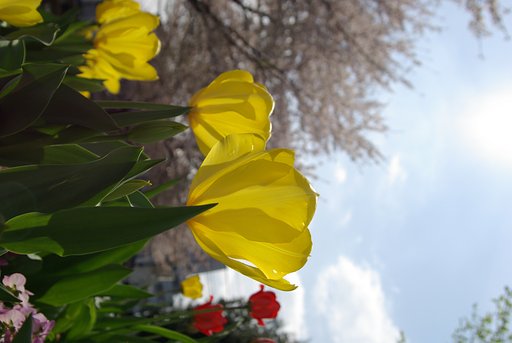 前景から背景へ