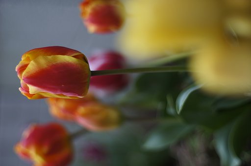 ヤシカＭＬ55/1.2 by NEX5n