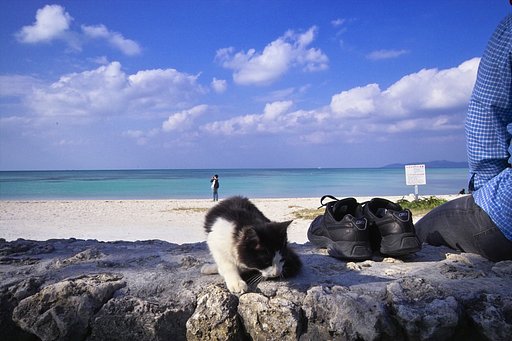 それでも時は流れてゆく