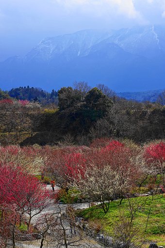 見えたぁ〜