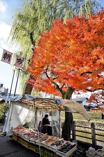 【紅】　朝市