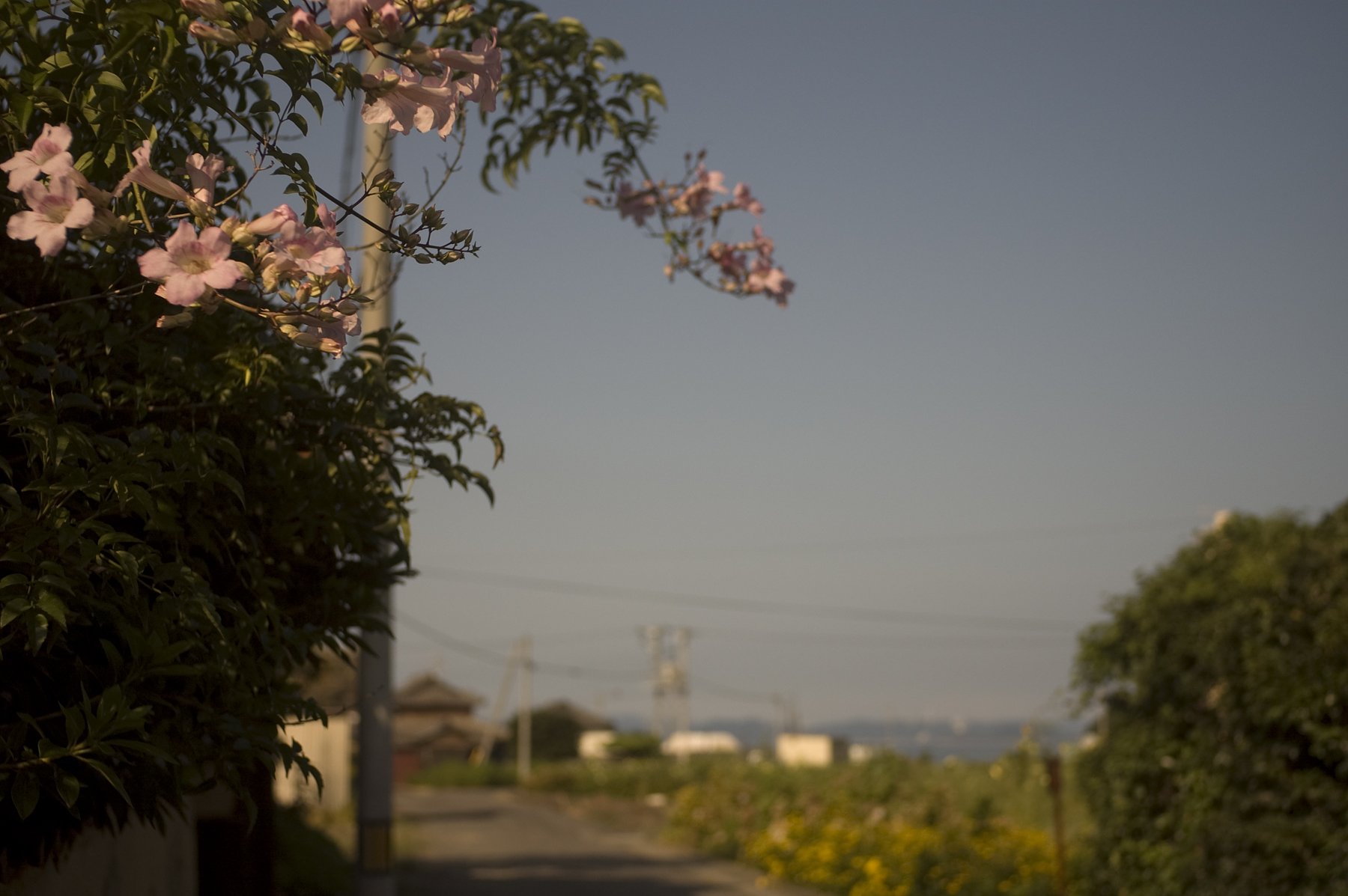 瀬戸の内海