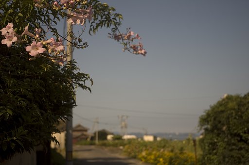 瀬戸の内海