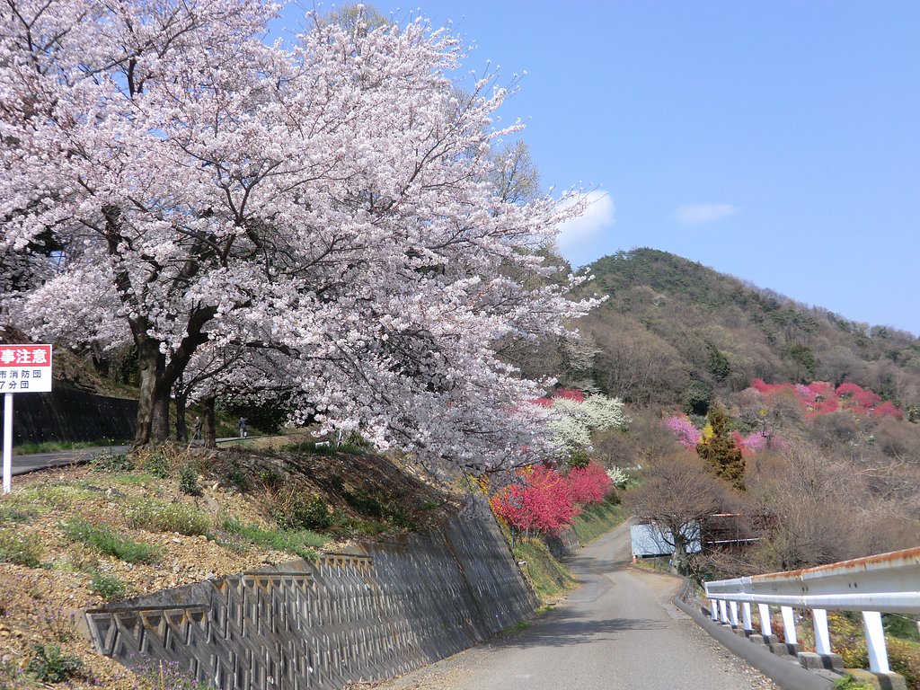 山郷の風景