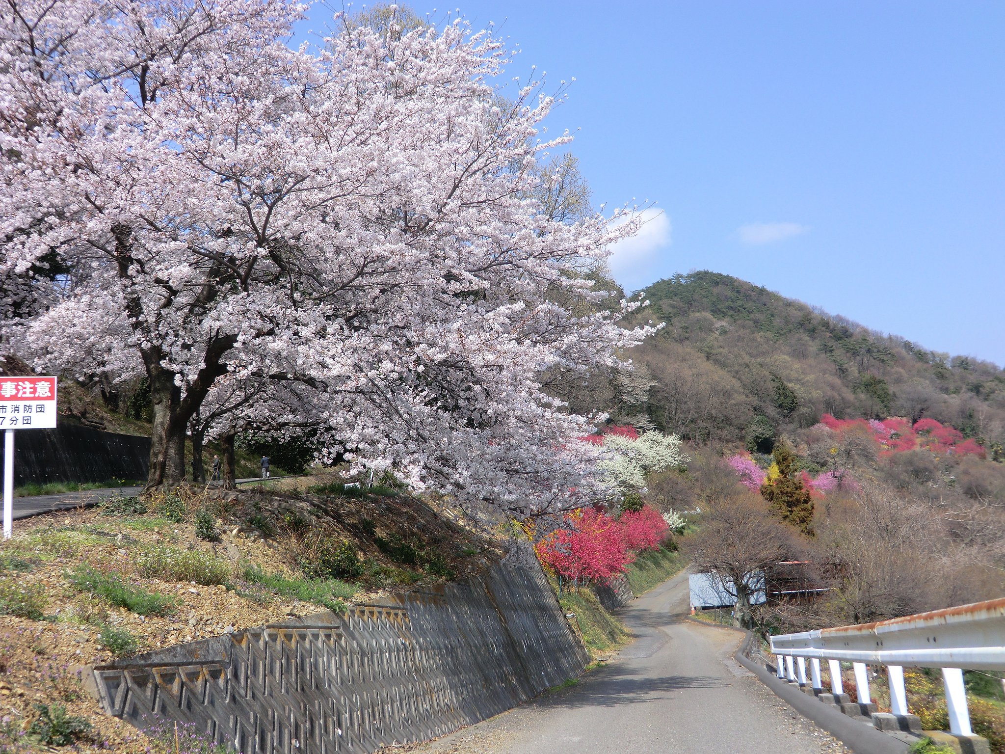 山郷の風景