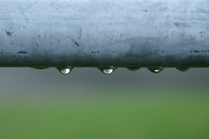 水滴の中の朝