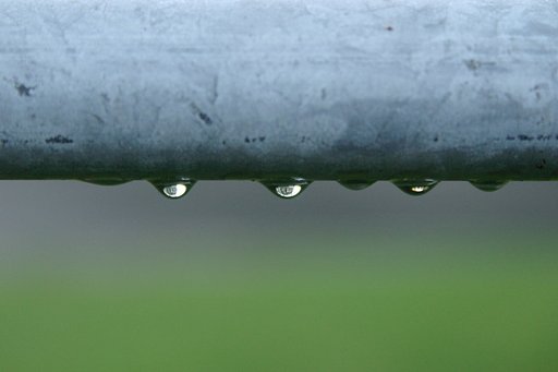 水滴の中の朝