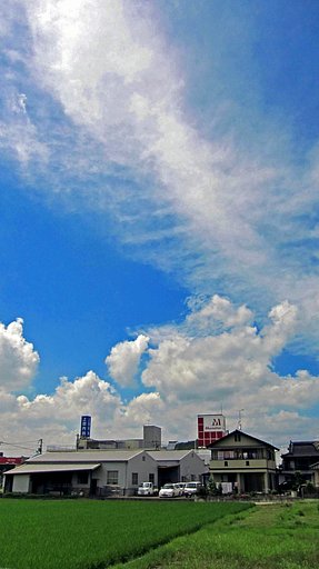 定点の夏空