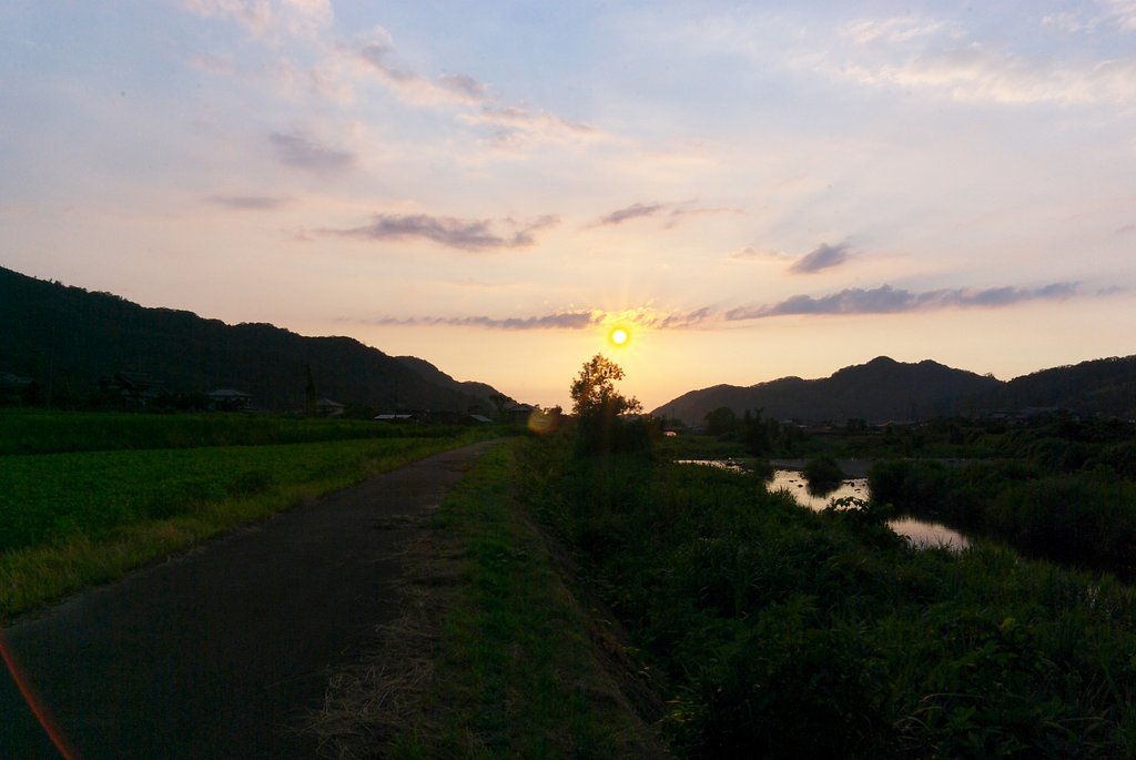 一人と一匹でみた夕焼け。