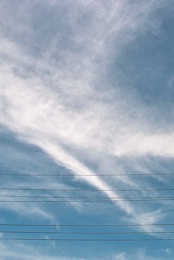 【質】雨上がり