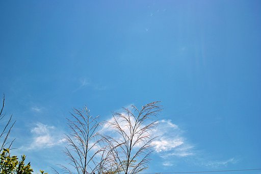 【質】雨上がりの空
