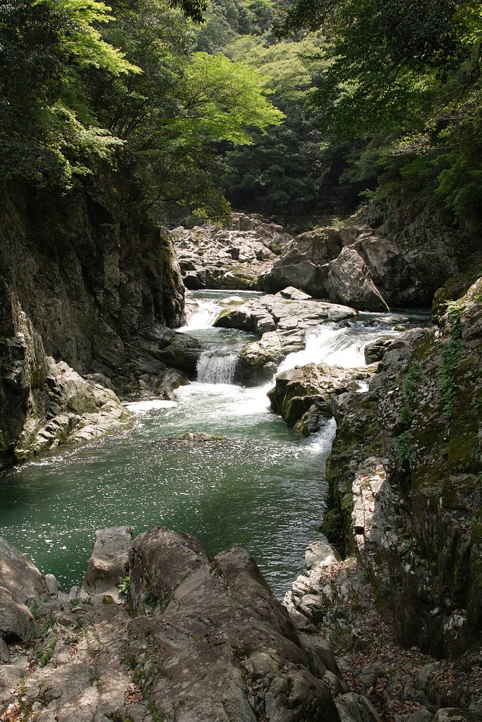 渓谷（長門峡断魚渓）