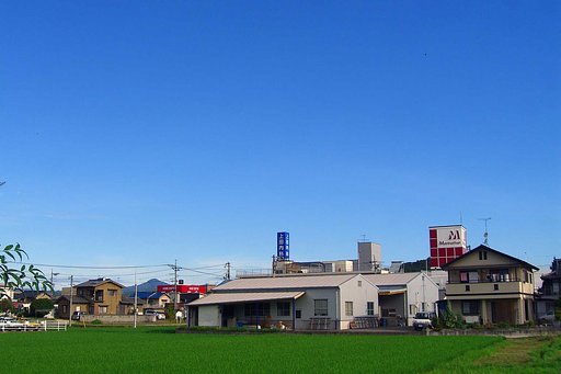 正真正銘のナチュラル