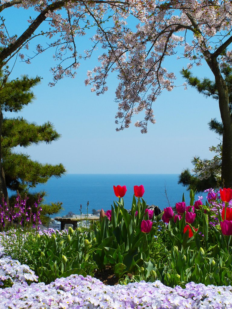 小高い公園より・・・