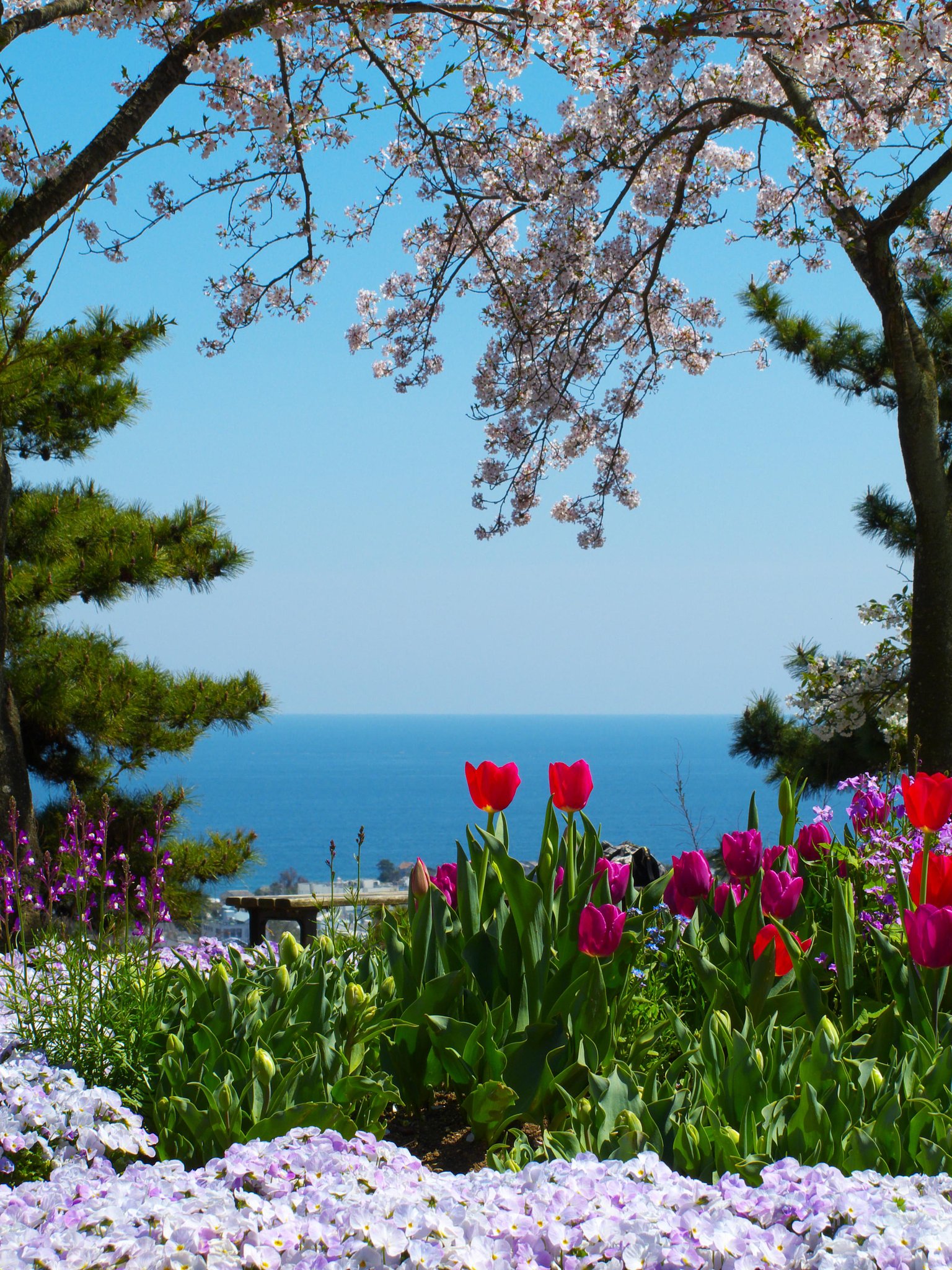 小高い公園より・・・