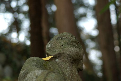見上げる