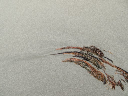 [穏やかに・・・・春]　流れ