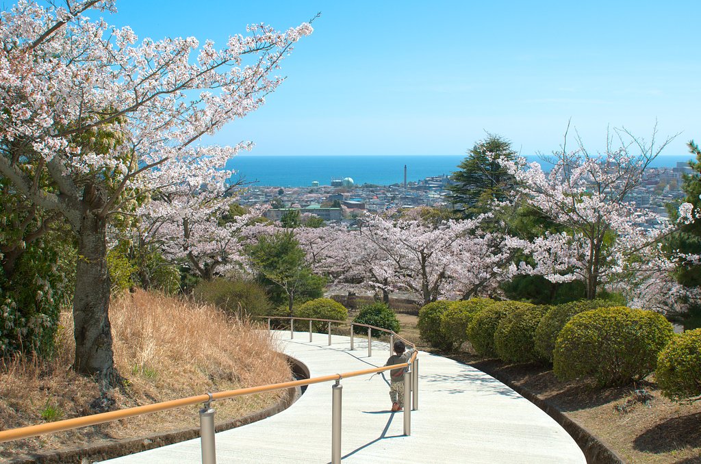 【おだやかに・・・春】春の海・・・
