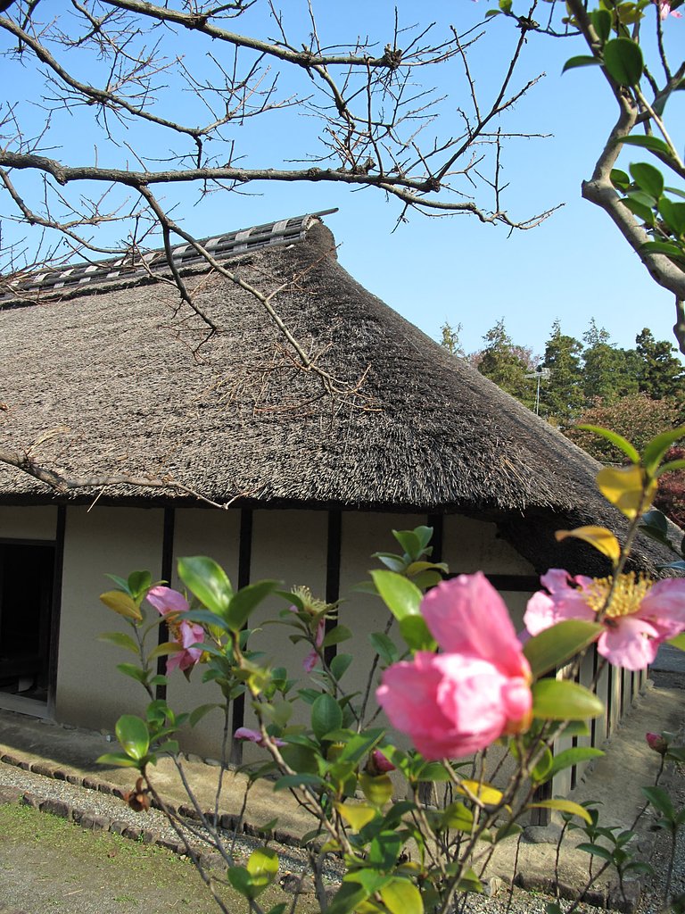 古民家と花