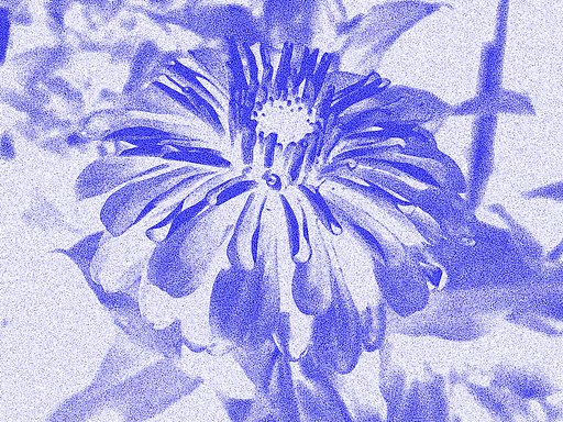 遊びました