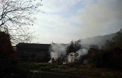 草焼き？