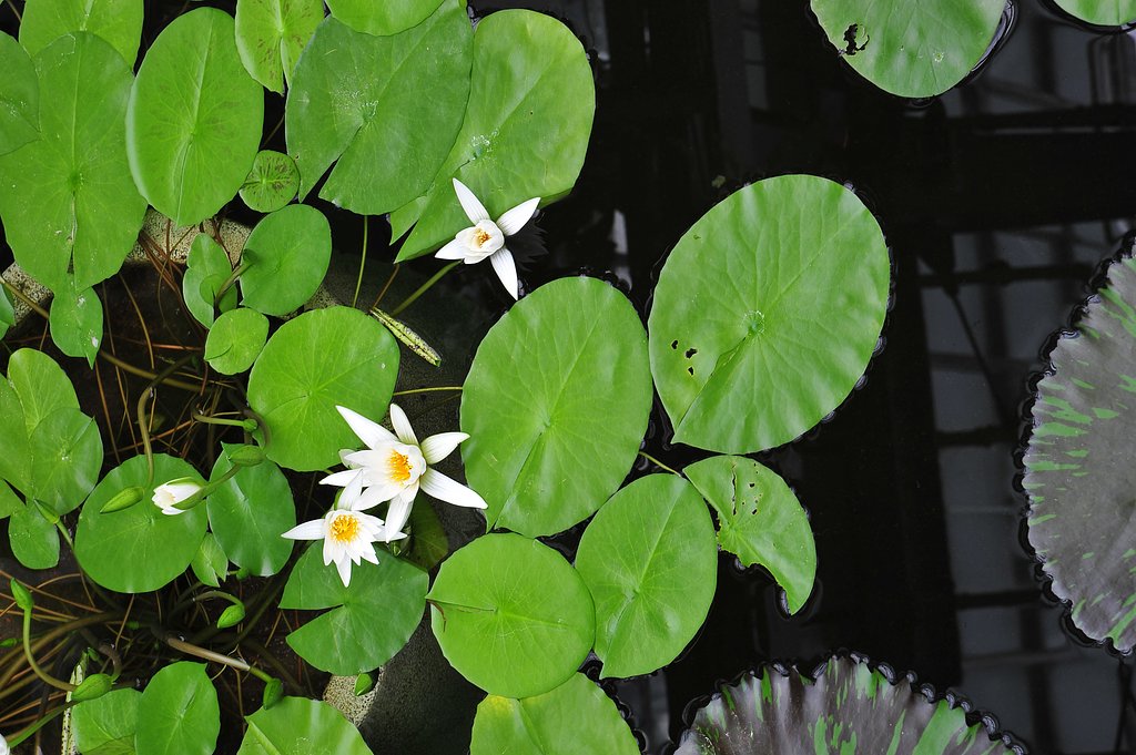 植物公園にて